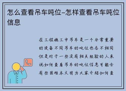 怎么查看吊车吨位-怎样查看吊车吨位信息